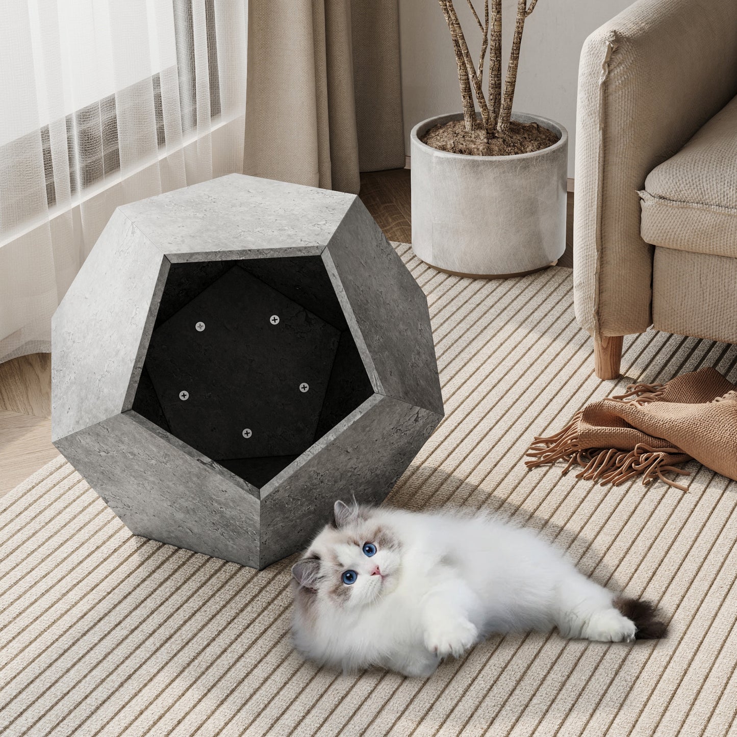 moderne katten mand