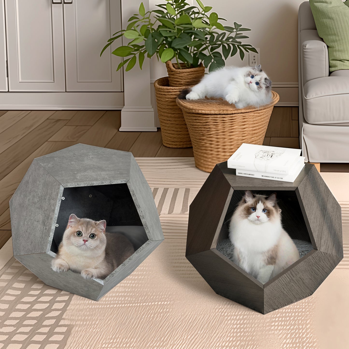 moderne katten mand