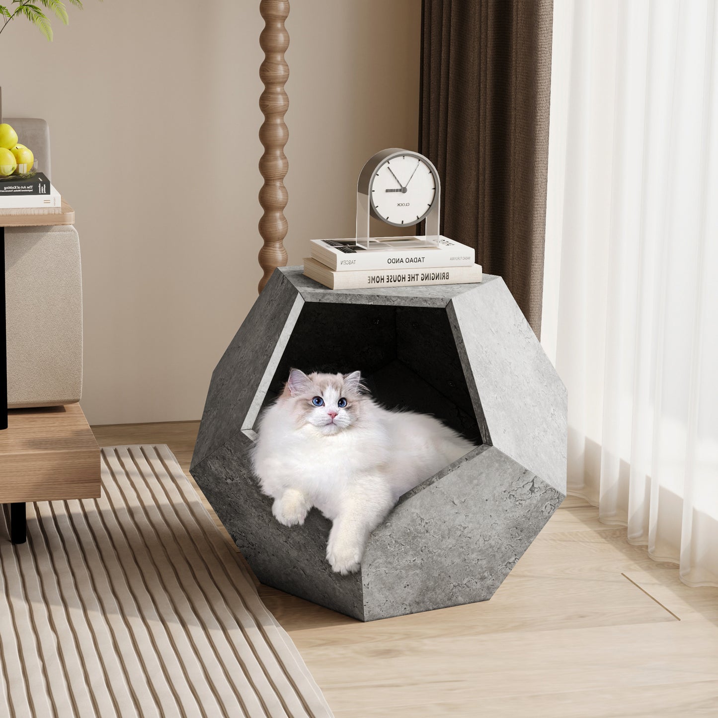 moderne katten mand
