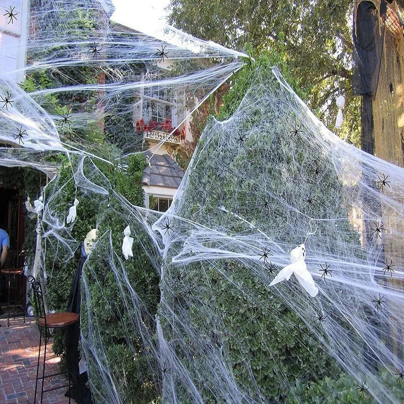 Halloween decoratie feest spin/web voor binnen en buiten