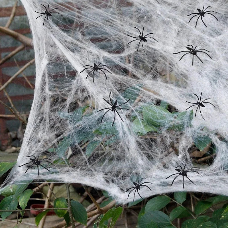 Halloween decoratie feest spin/web voor binnen en buiten